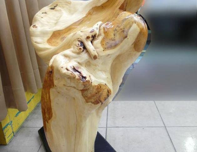 崖柏達摩像一飛衝天飛天達摩雕刻品擺飾品藝術品收藏品古董 2