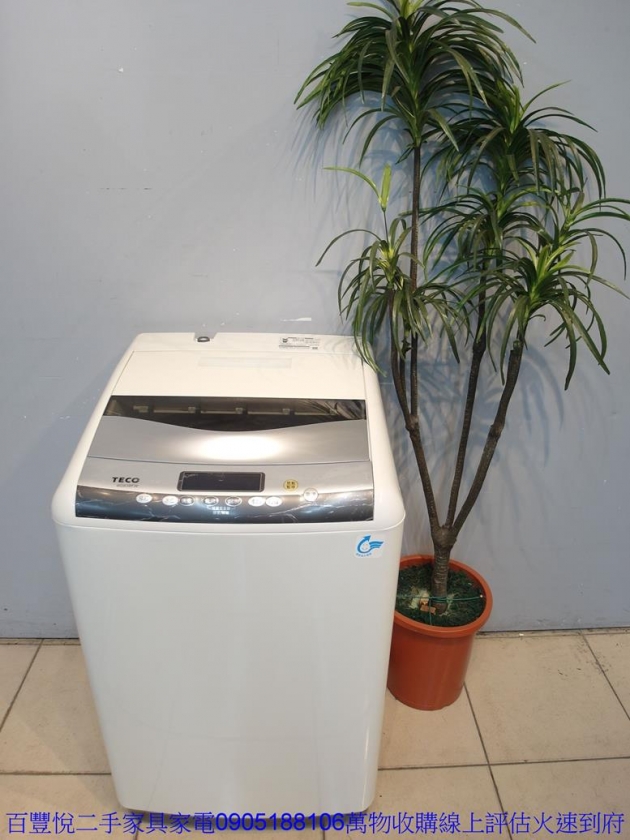 二手TECO東元8公斤單槽洗衣機2018套房租屋家電 1