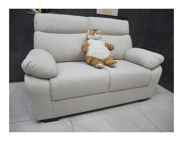 限量出清 沙發 貓抓布 米色 雙人沙發 客廳 休閒沙發 